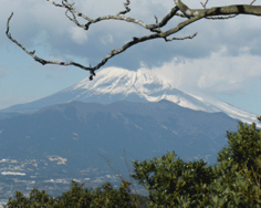 粋山会画像