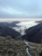 粋山会画像