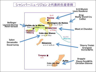 ワインの原料となる葡萄の種類