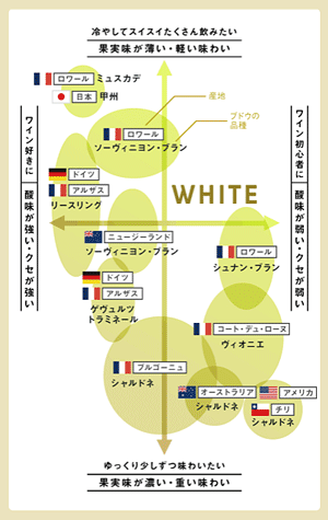 ワインの原料となる葡萄の種類