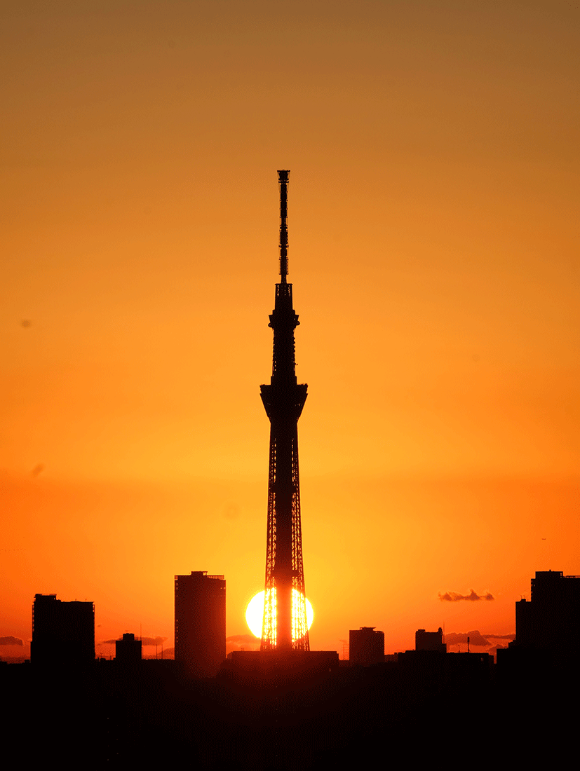 小林家の「朝日と東京スカイツリー」