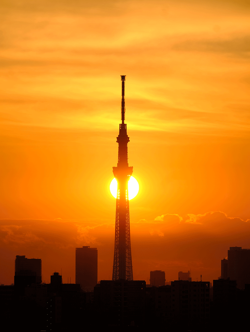 小林家の「朝日と東京スカイツリー」
