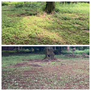 before/after 2