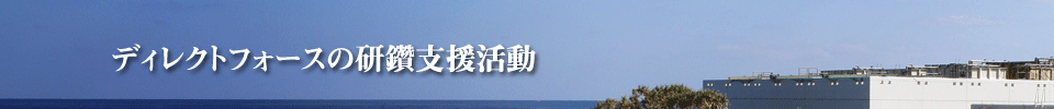 DFの研鑽支援活動