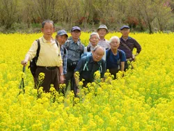 花見山にて 菜の花畑で集合写真