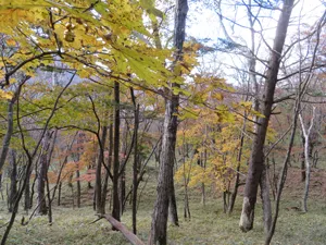 下山途中