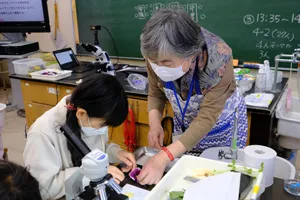 「植物」の理科実験授業 小平第９小学校