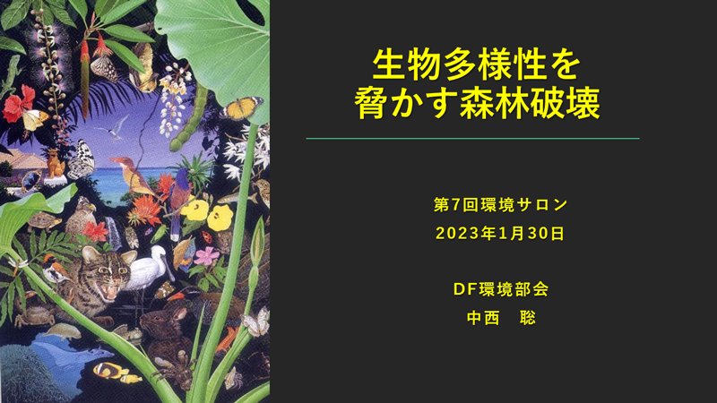 生物多様性を脅かす森林破壊