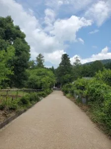 元伊勢と言われる檜原神社の鳥居を見る