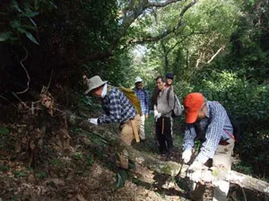 遊歩道の整備