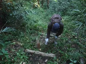 階段の状況