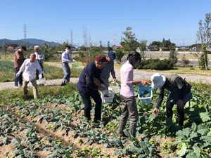 “ヤサイな仲間たちファーム”見学会