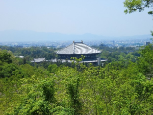 大仏殿と興福寺五重塔