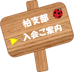 柏支部ご案内