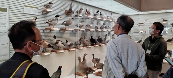 鳥の博物館内で、展示を見ながら説明を聞く