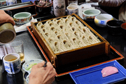 十日町蕎麦旅行