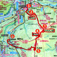粋山会画像