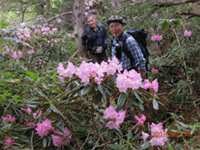 粋山会画像
