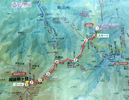 粋山会画像