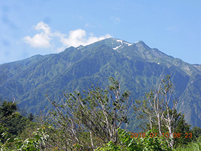 粋山会画像
