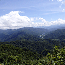 粋山会画像
