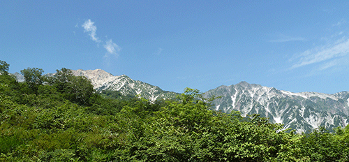 粋山会画像