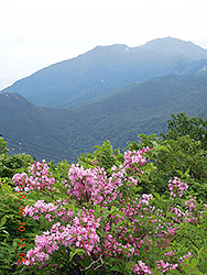粋山会画像