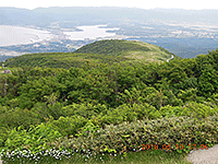 粋山会画像