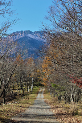 鈴木哲さん 「晩秋の赤岳への路」