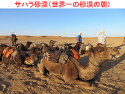 例会