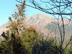粋山会画像