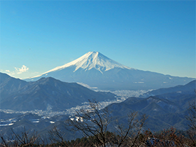 粋山会画像