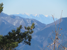 粋山会画像