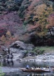 ＤＦ写真同好会