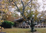 ＤＦ写真同好会