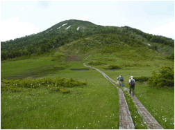 茅ヶ岳山行き