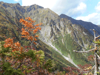 粋山会画像