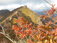 粋山会画像