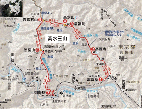 粋山会画像
