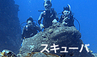 scubaImage