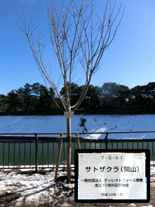 環境部会